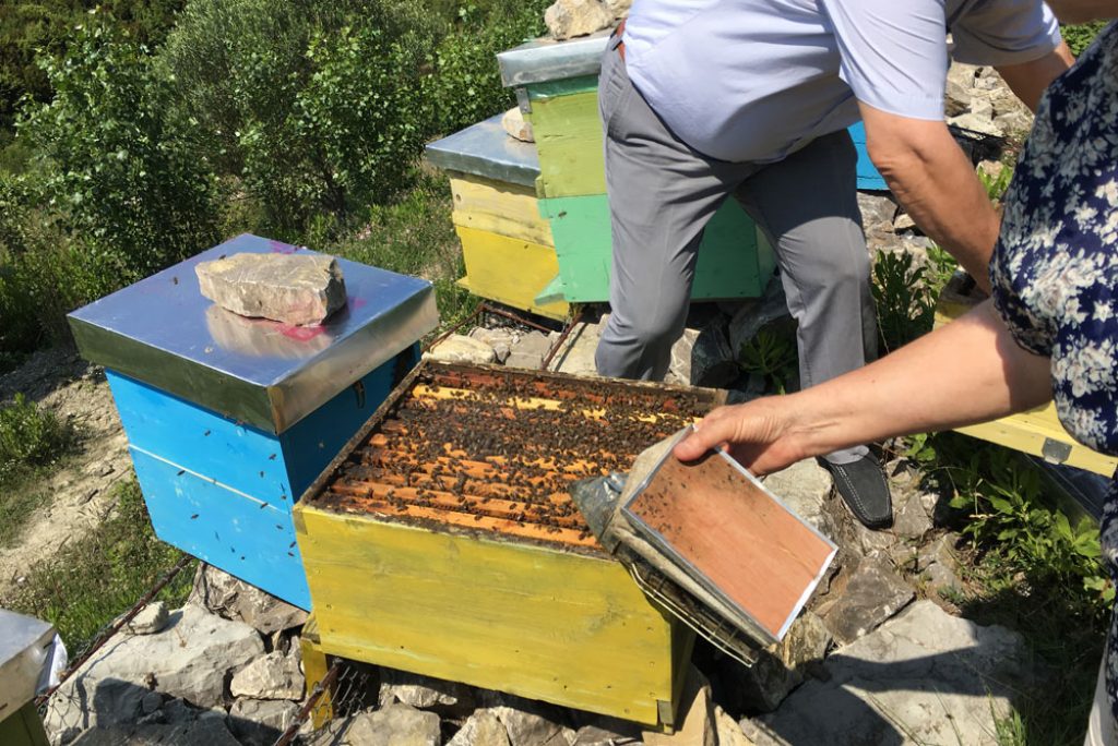 Honey making